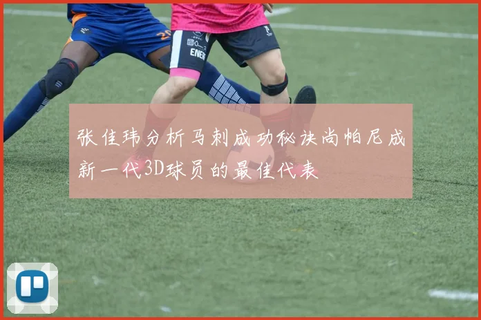 张佳玮分析马刺成功秘诀尚帕尼成新一代3D球员的最佳代表